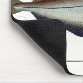 ポラック(Pollachiusのpollachius)のプレートLXVIIIからの マウスパッド (コーナー)