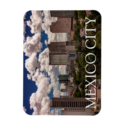 ポランコメキシコシティのホテルからのスカイライン マグネット (縦)