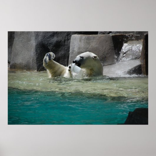 ポラーズ・ベア ポスター (正面)