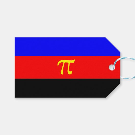 ポリアモリープライド国旗 ギフトタグ (正面(横))