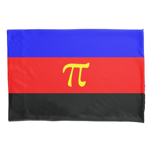 ポリアモリープライド国旗 枕カバー (正面)