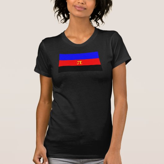ポリアモリー・プライド・フラッグ Tシャツ (正面)