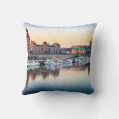 ポリエステル装飾用クッション、装飾用クッションドレスデン クッション (裏面)