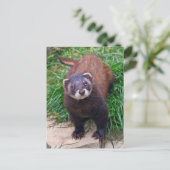 ポリカートはがき ポストカード (スタンド正面)