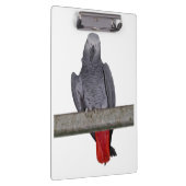 ポリクリップボード（色を選択） クリップボード (右)