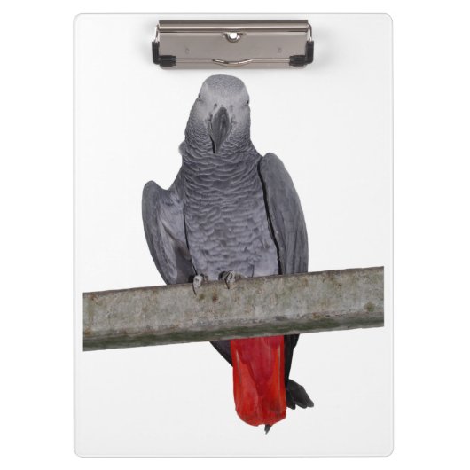 ポリクリップボード（色を選択） クリップボード (正面)