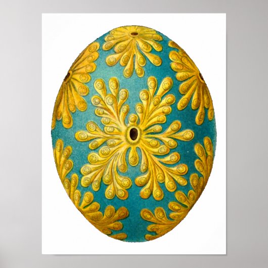 ポリクリンムコンステラーツムエルンストヘッケルファインアート ポスター (正面)