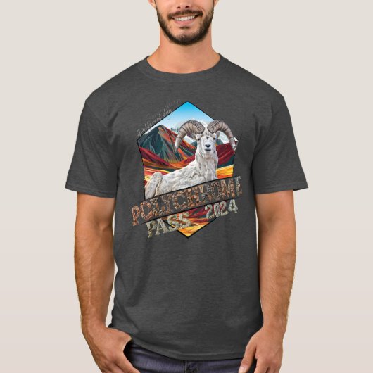 ポリクロムTシャツフロントアート Tシャツ (正面)