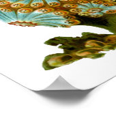 ポリサイクサイネウスエルンストヘッケルファインアート ポスター (角)