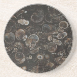 ポリッシュロックプリント（トリテッラアゲイト）コースター コースター