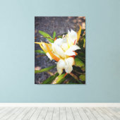 ポリニシアンドラゴンサボスナイト開花 キャンバスプリント (インサイチュ (ウッドフロア))