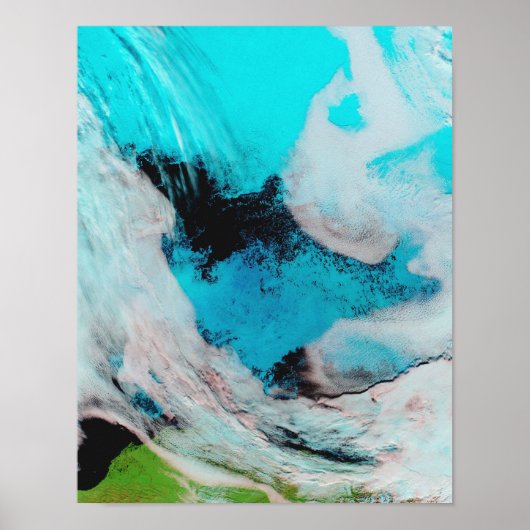 ポリニャの偽色表示（露水） ポスター (正面)