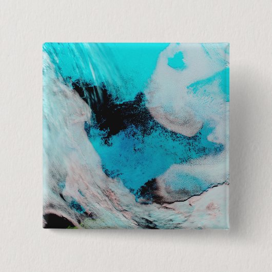 ポリニャの偽色表示(露水) 缶バッジ (正面)