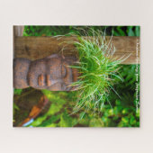 ポリネシアのサモア。クリスマスの挨拶 ジグソーパズル (横)