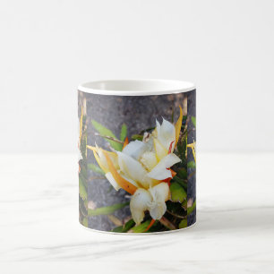 ポリネシアドラゴンサボテン夜開花 コーヒーマグカップ
