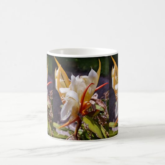 ポリネシアン ドラゴン サボテン 夜の花 コーヒーマグカップ (中央)