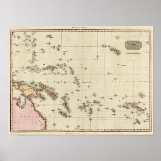 ポリネシア2 ポスター (正面)