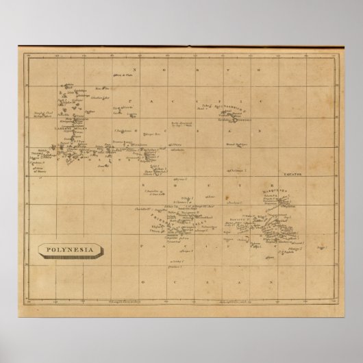 ポリネシア2 ポスター (正面)