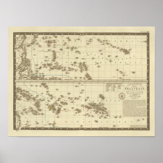 ポリネシア3 ポスター (正面)