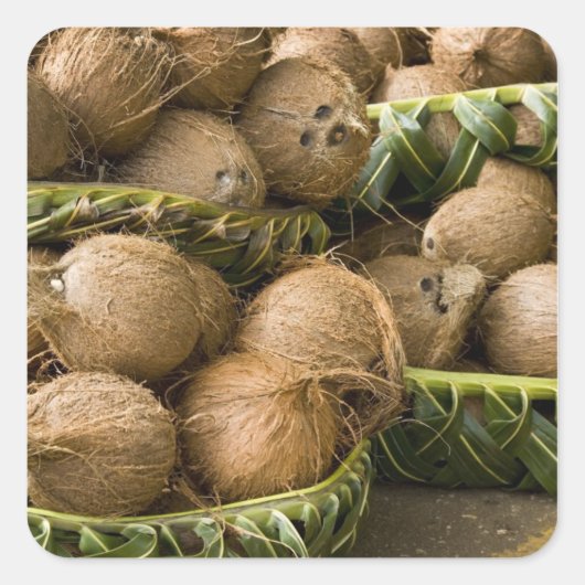 ポリネシア，トンガ王国。ココナッツの表示 スクエアシール (正面)