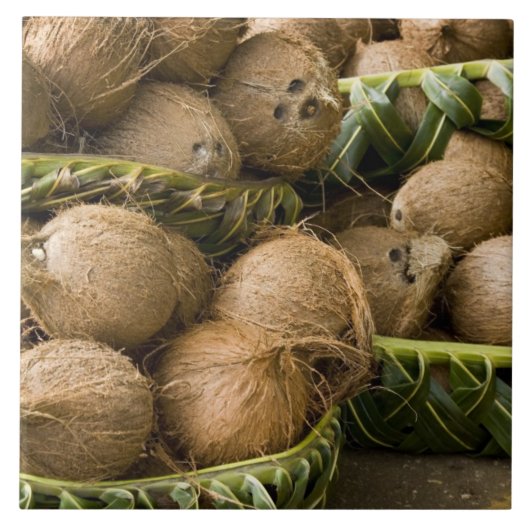 ポリネシア、トンガ王国。ココナッツの表示 タイル (正面)