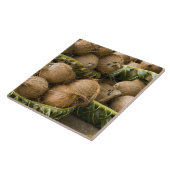 ポリネシア、トンガ王国。ココナッツの表示 タイル (側面)