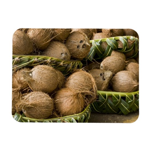 ポリネシア,トンガ王国。ココナッツの表示 マグネット (横)