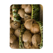 ポリネシア,トンガ王国。ココナッツの表示 マグネット (縦)