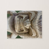 ポリネシア、トンガ王国。タイキのクローズアップ ジグソーパズル (横)