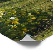 ポリネシフランスのアン島マプティ写真プリント ポスター (角)