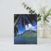 ポリネフランスのシア、ムーア人。調理師湾Green ポストカード (スタンド正面)