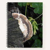 ポリポア菌オンツリースタンプ ノートブック (正面)