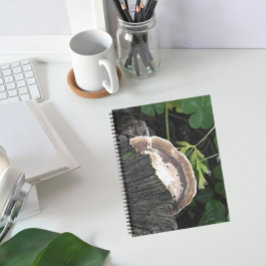 ポリポア菌オンツリースタンプ ノートブック