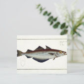 ポリラック（ポリアラキオス）プレートLXVIX ポストカード (スタンド正面)