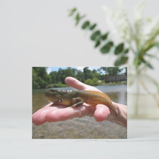 ポリワグ ポストカード (スタンド正面)