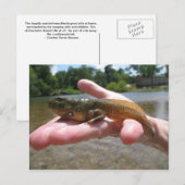 ポリワグ ポストカード (正面/裏面)