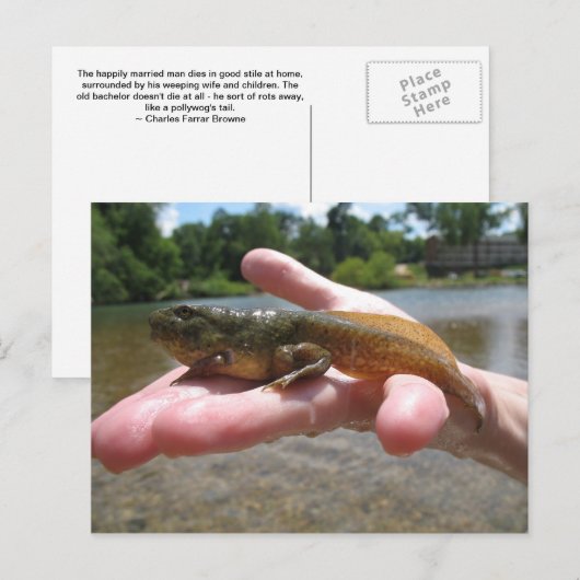 ポリワグ ポストカード (正面/裏面)