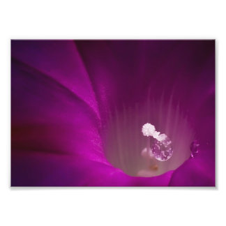 ポリングリッター フォトプリント