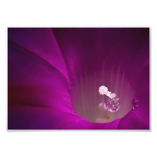 ポリングリッター フォトプリント            (正面)