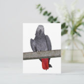 ポリーはがき ポストカード (スタンド正面)