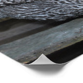 ポリーザプリマス ポスター (角)