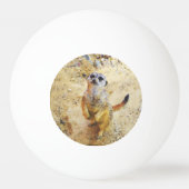 ポリ動物 – Meerkat 卓球ボール (裏面)