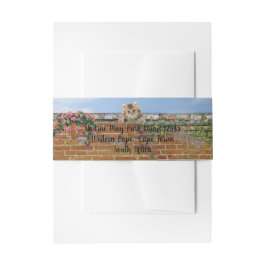 ポルカドット通りアートシーン 招待状ベリーバンド