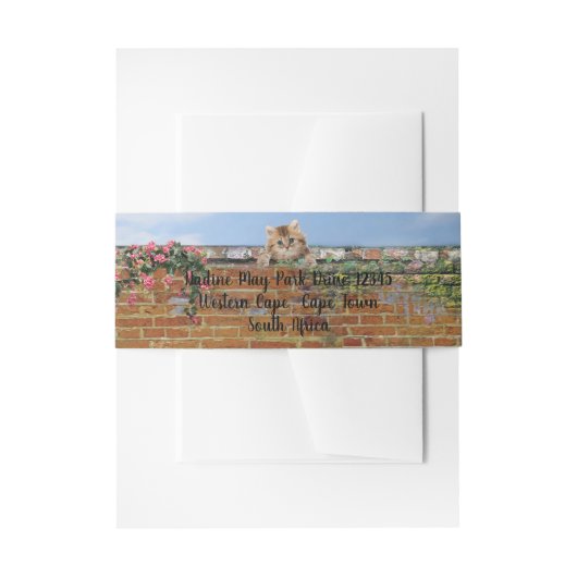 ポルカドット通りアートシーン 招待状ベリーバンド (正面例)