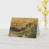 ポルクパインマウンテンズウィルダネス州パーク カード (黄色い花)