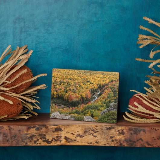 ポルクパインマウンテンズウィルダネス州パーク フォトプラーク (側面)