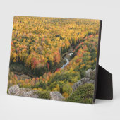 ポルクパインマウンテンズウィルダネス州パーク フォトプラーク (側面)