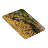 ポルクパインマウンテンズウィルダネス州パーク マグネット (右側)