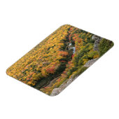 ポルクパインマウンテンズウィルダネス州パーク マグネット (左側)