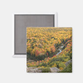 ポルクパインマウンテンズウィルダネス州パーク マグネット (正面/裏面)